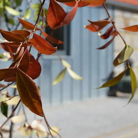 Casas Do Mondego Porto da Carne