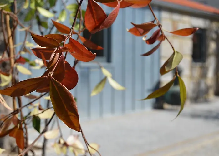 Casas Do Mondego Porto da Carne