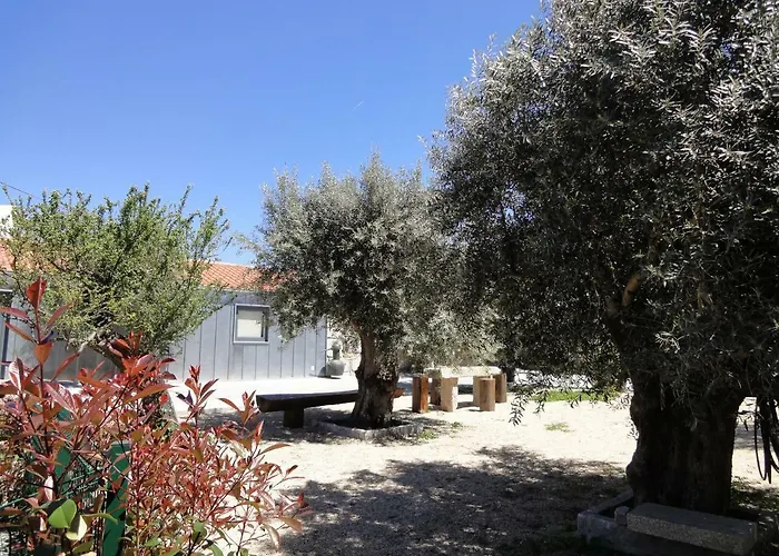 Casas Do Mondego
